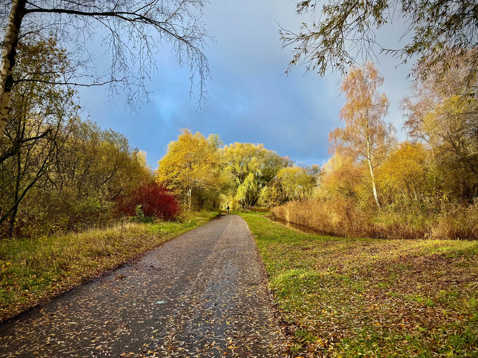 Wat ChatGPT over jouw organisatie zegt begint bij llms.txt