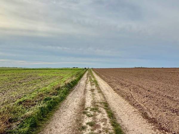 Van gratis naar betaald: hoe kies je het juiste AI-model voor je organisatie