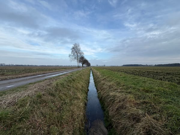 Waarom je chatbot straks Europees moet zijn (en hoe je dat slim aanpakt)